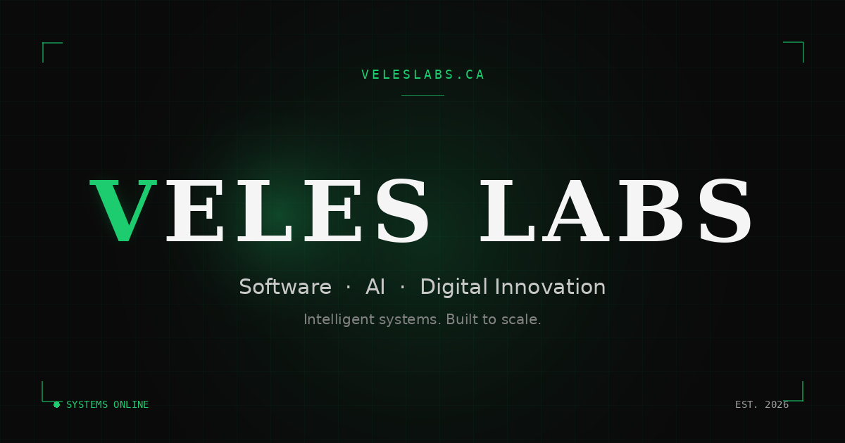 Veles Labs — Software, AI & Digital Innovation